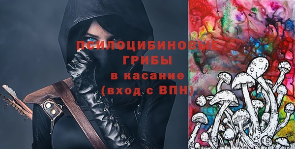 2c-b Белокуриха