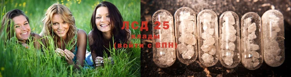 спайс Беломорск