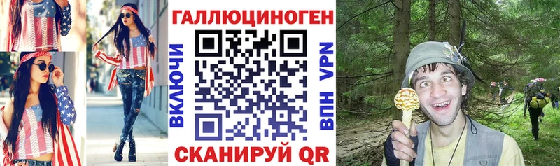 мориарти официальный сайт  Дагестанские Огни  Галлюциногенные грибы Psilocybe  гидра ссылки 