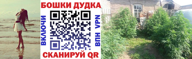 Бошки марихуана конопля Дагестанские Огни